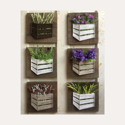 SHIVAKARI PLANTED STRINGY Pack of 6